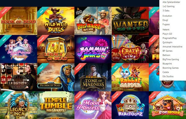 Alle Spielanbieter Viggoslots