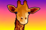 50 Lions girafe